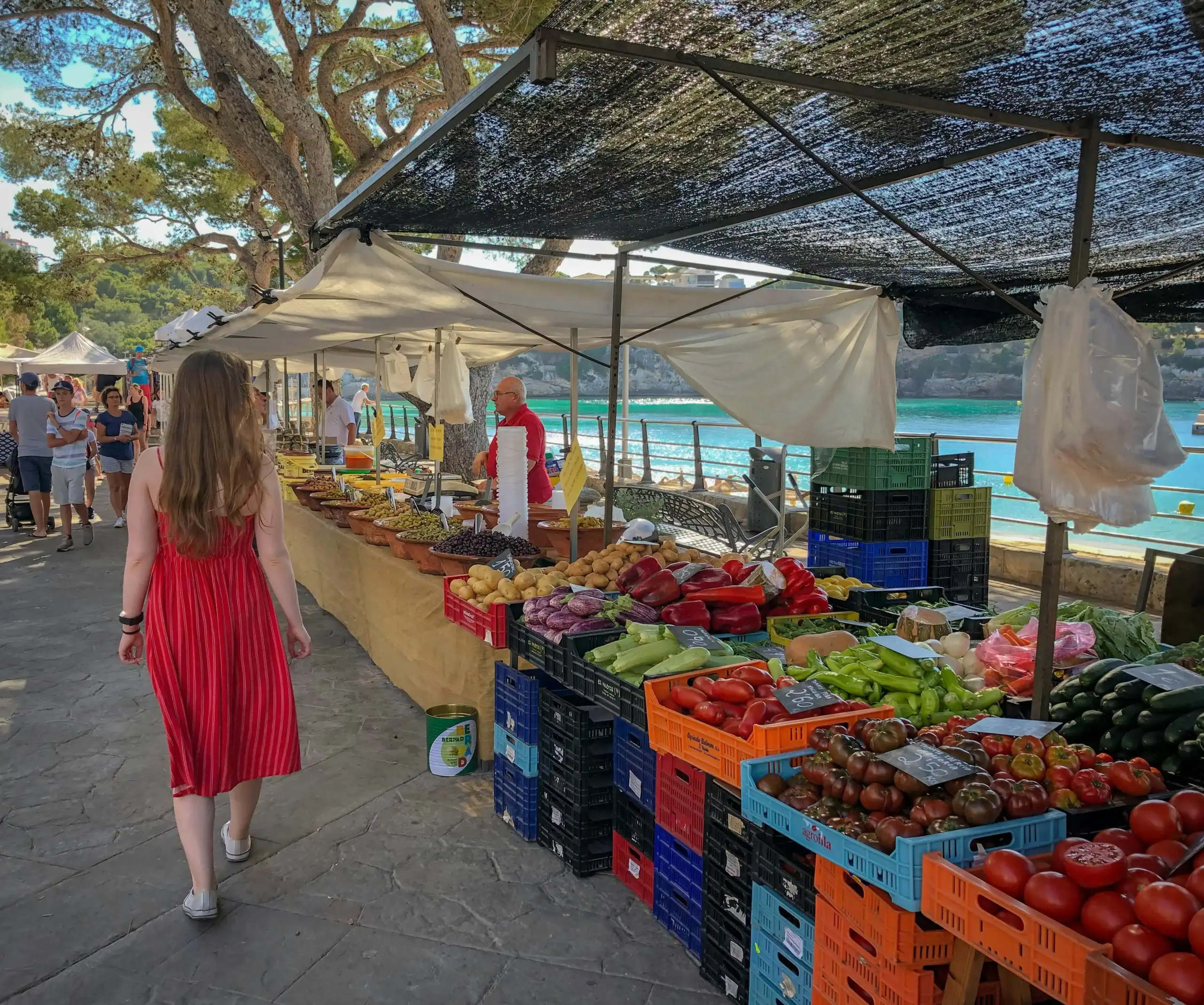 Food Mallorca einkaufen: frisches Gemuese auf dem Wochenmarkt